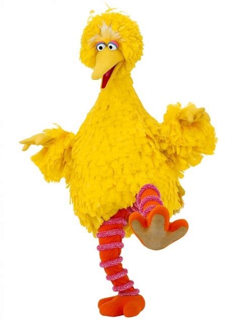 Big Bird Costumes (for Men, Women, Kids) | PartiesCostume.com