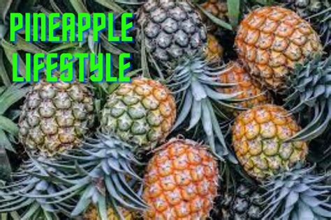 Pineapple Lifestyle Unveiled A Tropical Journey Of Health And