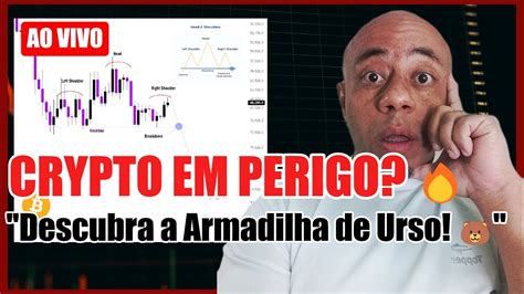 Armadilha De Urso O Futuro Das Criptomoedas E Como Proteger Seus