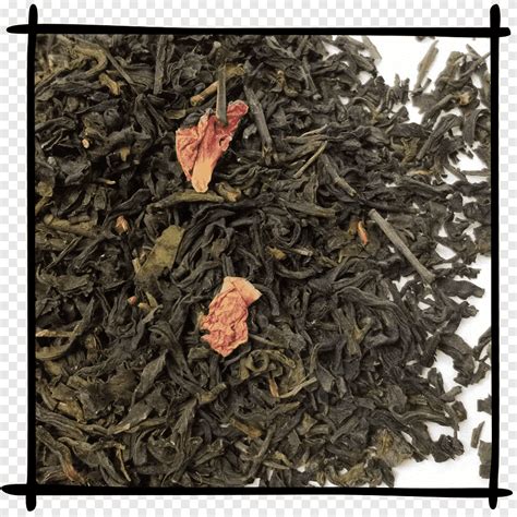 Nilgiri Dian Hong Tea Plant Ink Chinese Png Pngegg