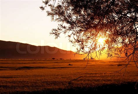 Sunset on grassland | Stock image | Colourbox