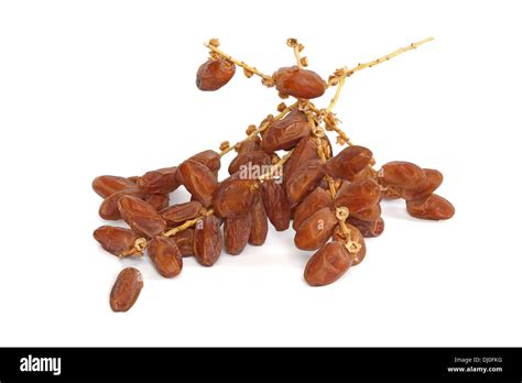 Dates On The Branches Cut Out Stock Images Pictures Alamy