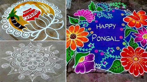 pongal  kolam  rangoli designs  kaanum pongal  news