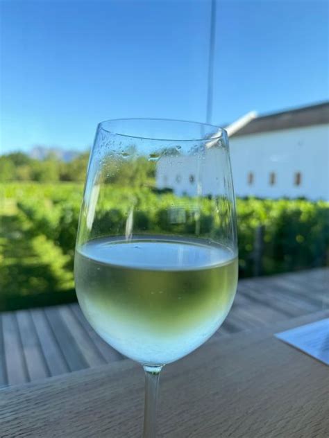 Private Wine Tour Visit Stellenbosch Franschhoek Paarl