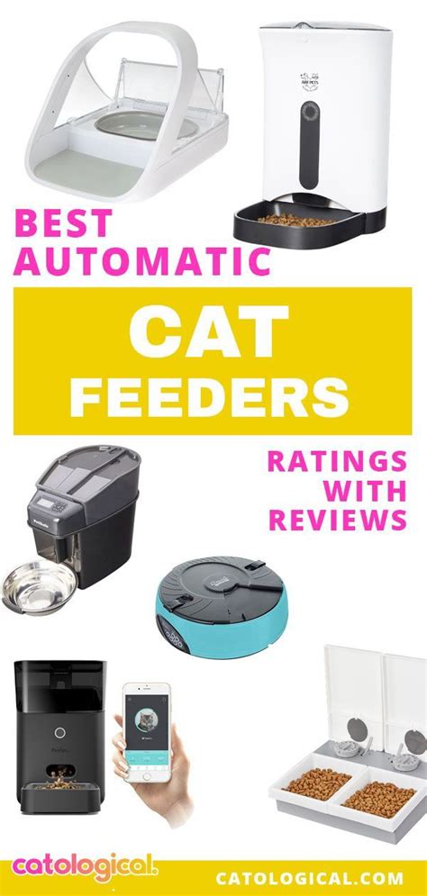 The Best Automatic Cat Feeders Reviewed Rated For 2022 Artofit