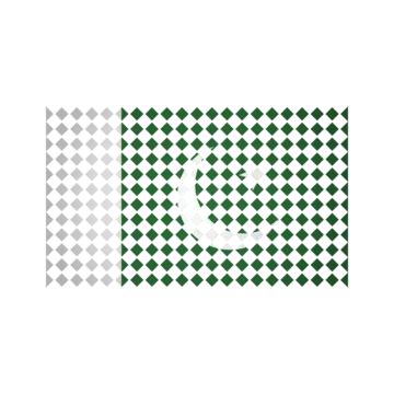 Bandera Pakistaní Vector PNG Pakistán Bandera Bandera Pakistaní PNG