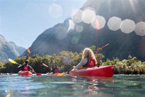 Cruise & Kayak Milford Sound | GetYourGuide