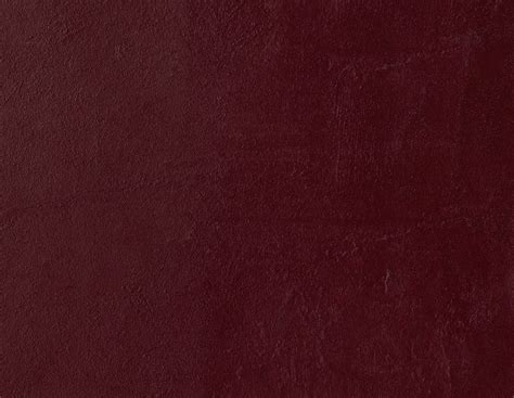 Maydan | Discover Flavor & Tradition