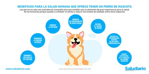 Los Beneficios De Las Mascotas Para La Salud Humana Reconocidos Por El Nih