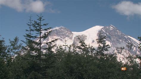 The Lifecycle Of Salmon Begin And End In Forests Youtube