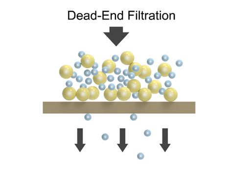 Uf Membrane Dead End Filtration And Cross Flow Filtration