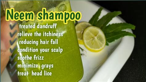 Neem Shampoo For Dandruff Homemade Neem Shampoo Relieve Itchiness