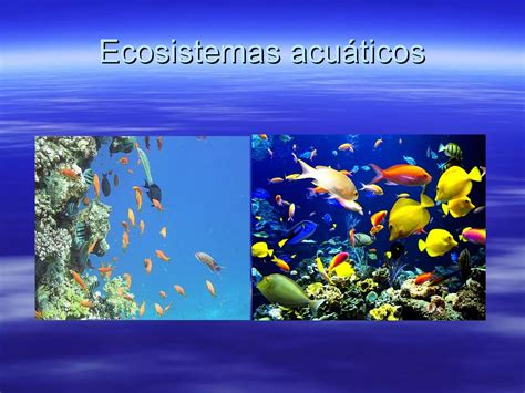 Los Seres Vivos En Los Ecosistemas Ppt