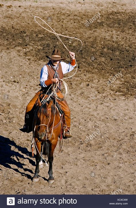 Cowboy Roping Horse Stock Photos & Cowboy Roping Horse Stock Images - Alamy