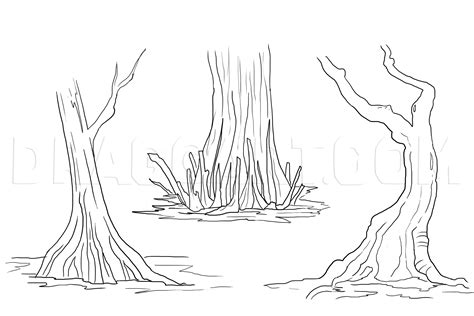 How To Draw A Swamp Draw Swamps Step By Step Drawing Guide By