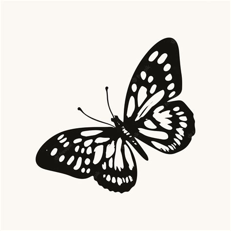 Premium Vector | Black and White Butterfly Illustration