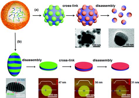 Recent Advances In The Synthesis Of Janus Nanomaterials Of Block