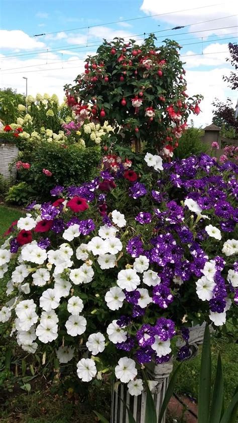 Many Different Colored Flowers In A White Container