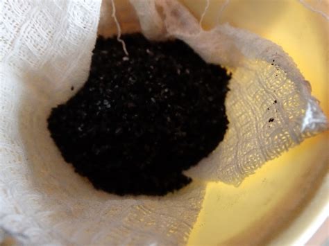 Исследовательская работа «Фильтрование воды»