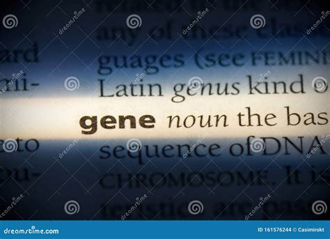 Gene stock photo. Image of language, paper, etymology - 161576244