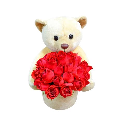 Buquê de Rosas Vermelhas c Urso de Pelúcia Nova Flor Nova Flor