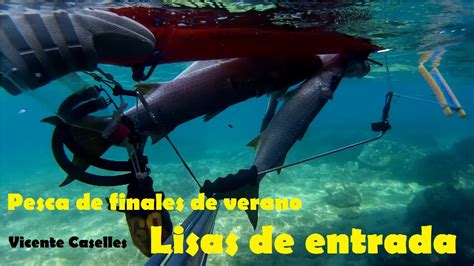 Pesca Submarina A Poca Profundidad Y Superficie Acechos Y Esperas Lisas