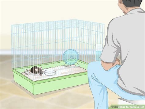 A Man Sitting In Front Of A Cage With An Animal Inside