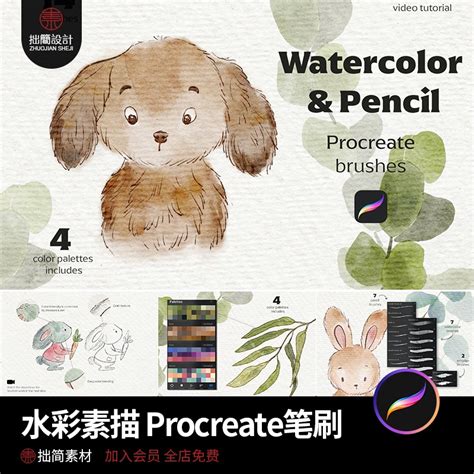 Procreate 筆刷 Bs 31高品質手繪水彩素描procreate筆刷大集合ipad繪畫手繪筆刷 蝦皮購物