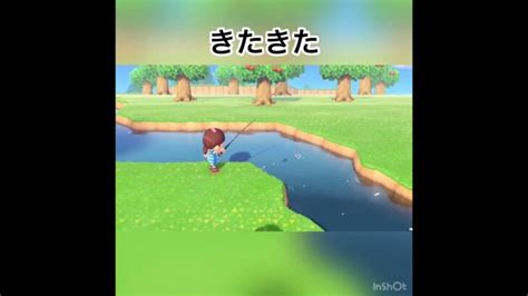 こんぺい島で釣りanimal あつ森 Shorts あつ森 動画まとめ