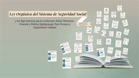 Ley Org Nica Del Sistema De Seguridad Social By Daniela Anacari Arteaga