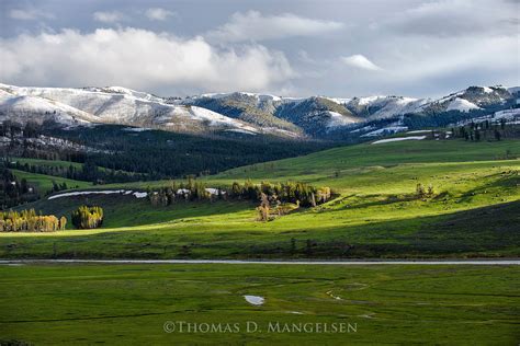 Spring - Landscapes