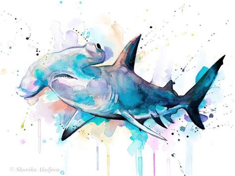 Drawings Of Hammerhead Sharks