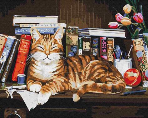 Tishiron Dipingere Con I Numeri Per Adulti Gatto E Libro Tela Pre