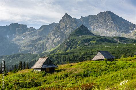 Strona Plakaty Krajobrazy Codzienne Spotkanie Z Natur Dekowizja Pl