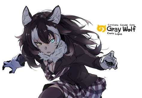 Anime Wolf Girl Cat Girl Kemono Friends Grey Wolf