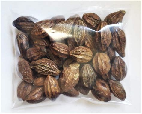 Dried Whole Haritaki Harde Terminalia Chebula Organic Brown Gm Free