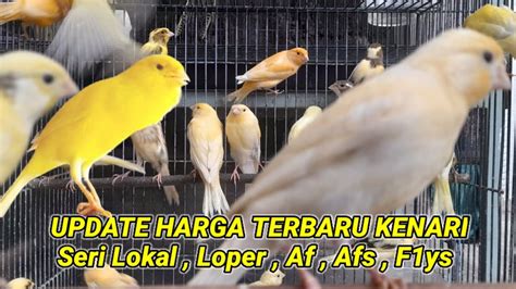 Update Harga Kenari Terbaru Lokal Loper Af F1ys Di Pusat Grosiran