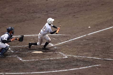 軟式野球部 東九州龍谷高等学校