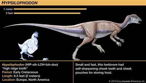 Hypsilophodon - Kids | Britannica Kids | Homework Help