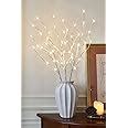 Eambrite Home Decorative Twig Lights Lighted White Birch Twig Branches