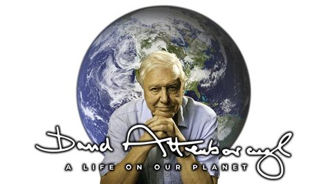 David Attenborough: A Life on Our Planet | Movie fanart | fanart.tv