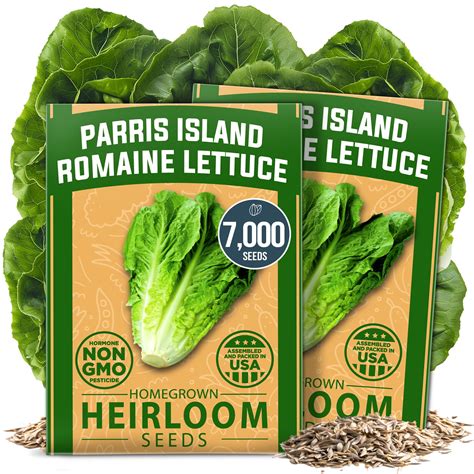 Romaine Lettuce Seeds