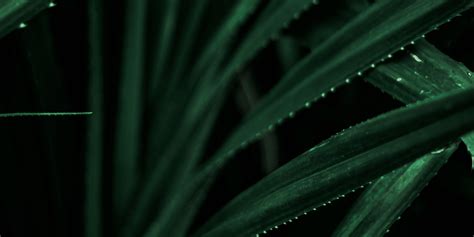 Same Sex Marriage Laws In Australia What You Need To Know