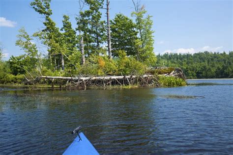 Island In The Quinebaug River Canoe Trail In Brimfield Massachusetts