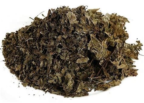 Ортосифон тычиночный (почечный чай)