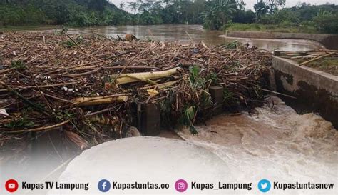 Kupas Tuntas Tumpukan Sampah Penuhi Pintu Air Bendungan Way Gatel