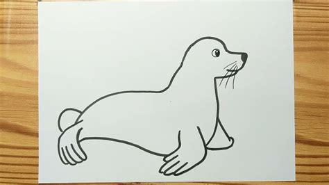 How To Draw A Easy Sea Lion