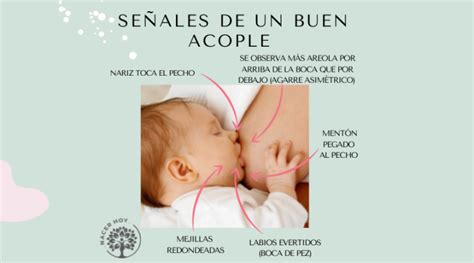 Mi Bebe No Agarra Mi Pecho BabyCenter