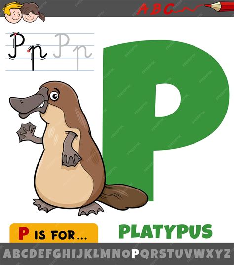 Desenho Animado Com P - Ilustração de desenho animado educacional da letra P do alfabeto com um ...