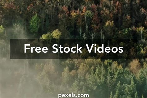 instagram reels       stock video footage